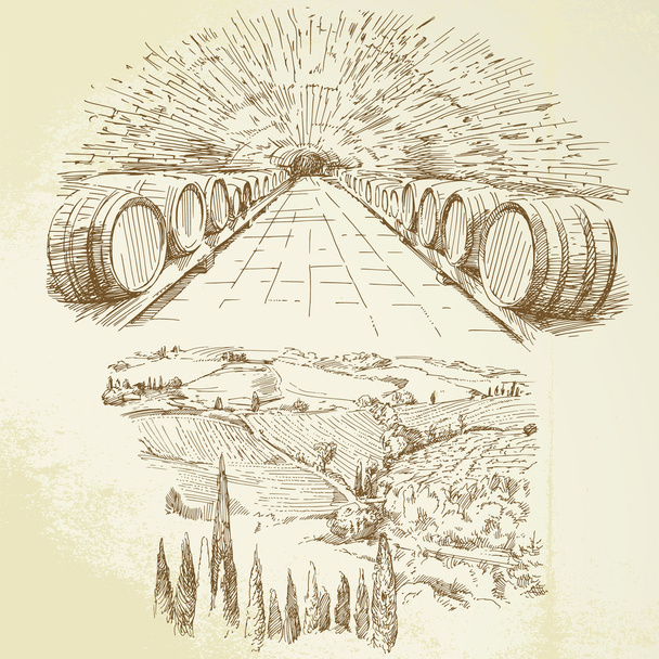Виноградник - набор для рисования вручную
 - Вектор,изображение