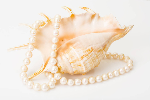 Natural pearl white beads - Photo, Image