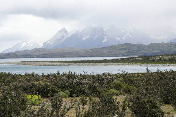 Nationaal park Torres del Paine - Foto, afbeelding