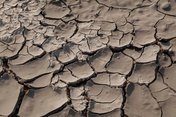 cracked mud on drying in nature, note shallow depth of field - Photo, Image