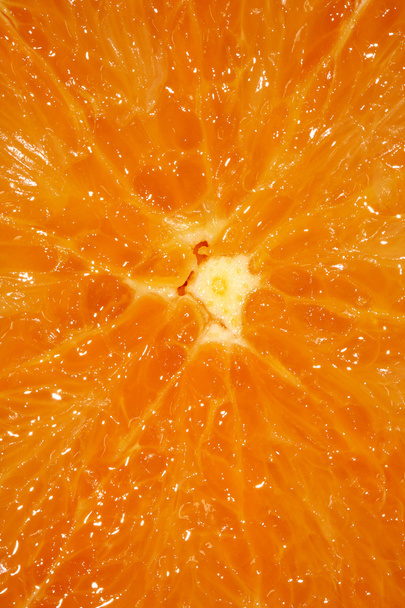 Naranja - Foto, Imagen