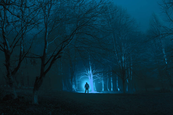 strange silhouette in a dark spooky forest at night, mystical landscape surreal lights with creepy man - Zdjęcie, obraz