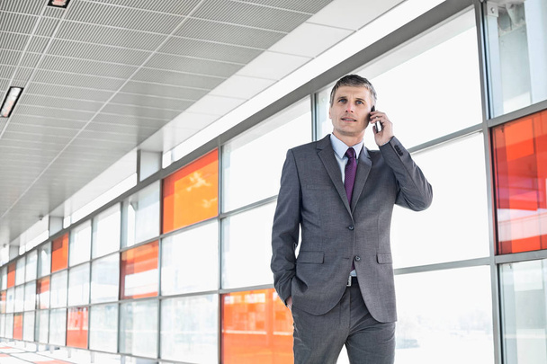 Businessman using cell phone - Photo, image