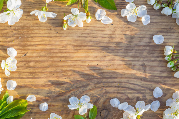 cherry flowers on wooden background - Foto, Imagem