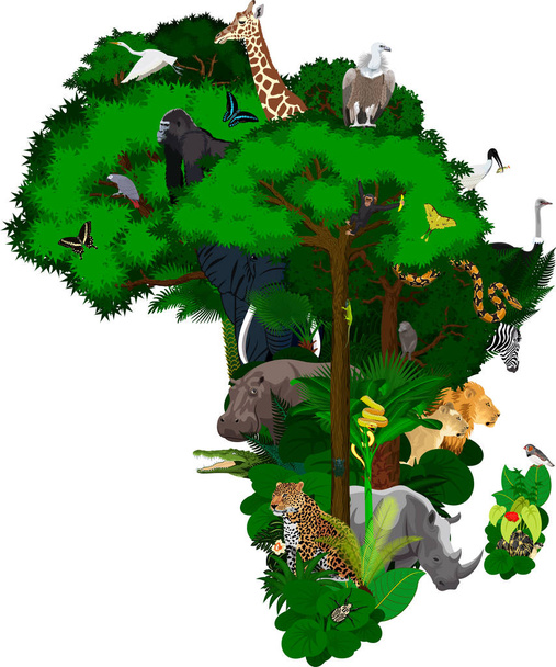 dieren en bloemen Afrika - vector - Vector, afbeelding
