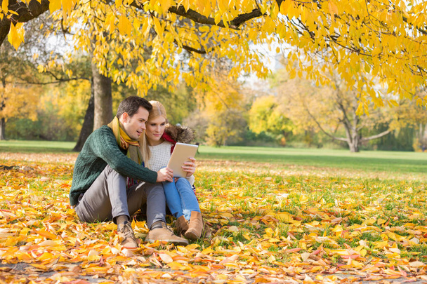 couple using tablet PC in park - Photo, image