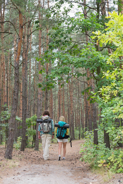Couple walking in forest - Foto, afbeelding