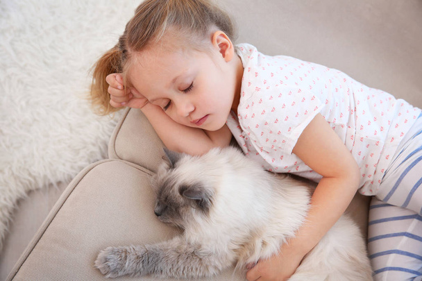 Cute little girl with cat - Photo, image