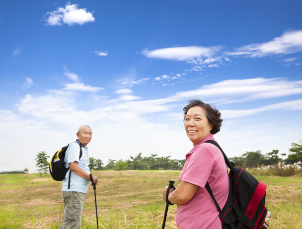 šťastný asijských starší pár vycházky v přírodě - Fotografie, Obrázek