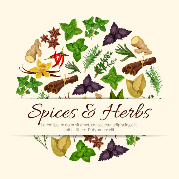 Spices and herbs vector poster - Vector, Image