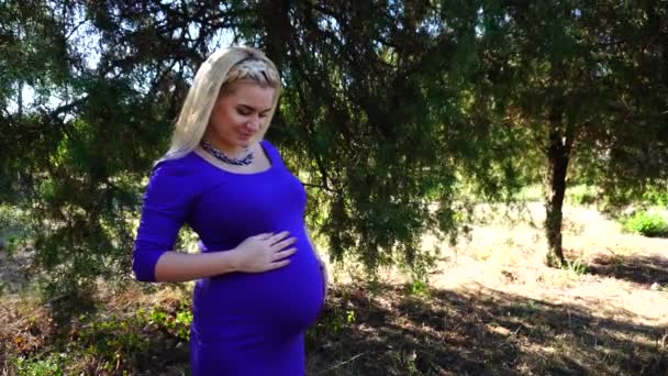 Beautiful Young Future Mother Shows Gesture and Raises Thumb Up, Gently Stroking Tummy, Looking at Camera and Smiling in Park in Daytime Outdoors. - Footage, Video