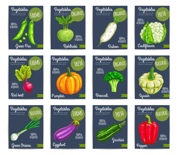Organic farm vegetables vector price cards - Vector, Image
