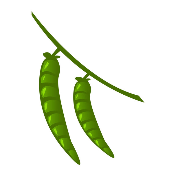 peas illustration color illustration design - Vetor, Imagem