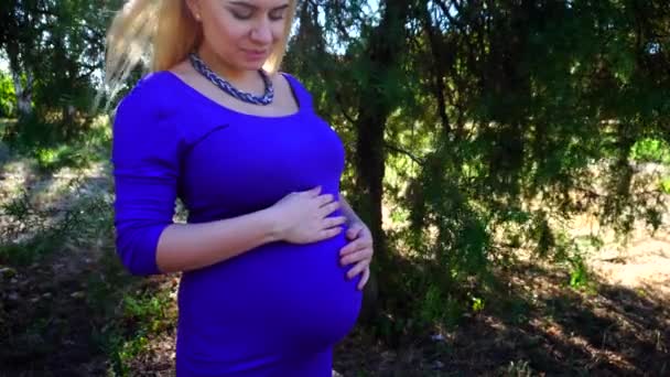 Заманчивая молодая беременная женщина ласкает живот и чувствует мир и радость от рождения первого ребенка, стоя в зеленом солнечном парке на открытом воздухе в дневное время
. - Кадры, видео