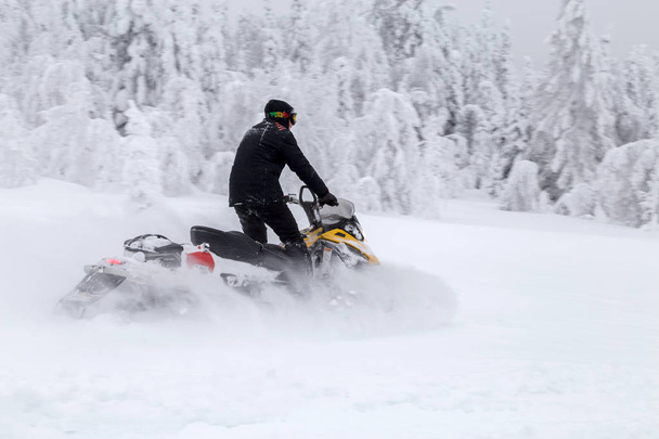 Sportowiec na skuterze śnieżnym - Zdjęcie, obraz