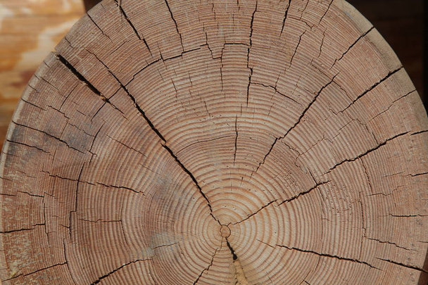 fin de l'ancienne texture des billes de bois
 - Photo, image