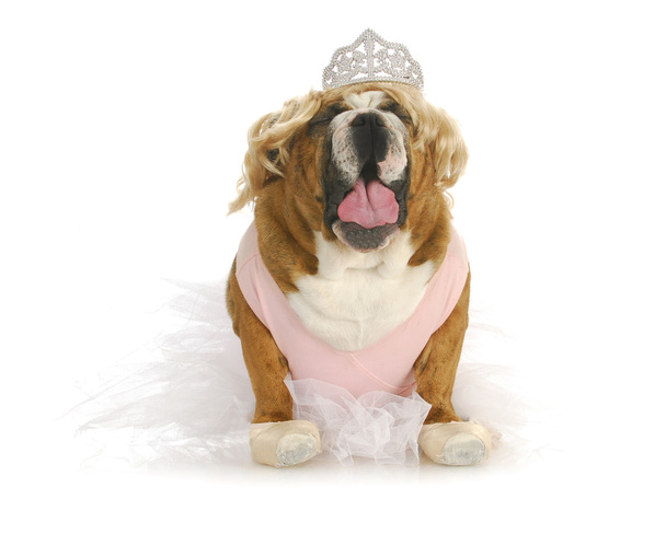 toddlers in tiaras - Photo, Image
