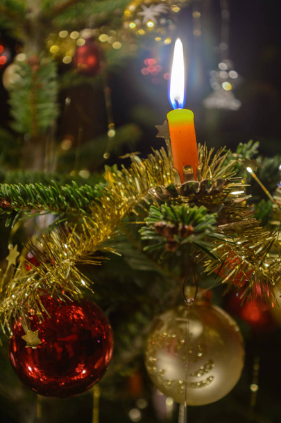 ろうそくのクリスマス ツリーとクリスマス - 写真・画像