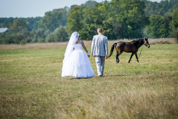 Η νύφη και ο γαμπρός περπατούν σε ένα λιβάδι το καλοκαίρι. Καλοκαιρινός γάμος. Η νύφη σε ένα όμορφο φόρεμα με τον αρραβωνιαστικό της είναι σε ένα λιβάδι άνοιξη. - Φωτογραφία, εικόνα