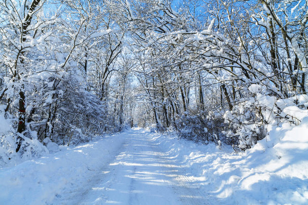 Pejzaż zimowy z drogi w Rumunii - Zdjęcie, obraz