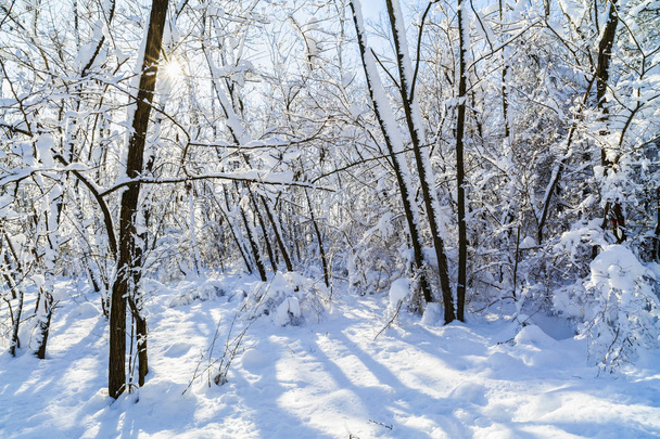 Winterlandschap met een weg in Roemenië - Foto, afbeelding