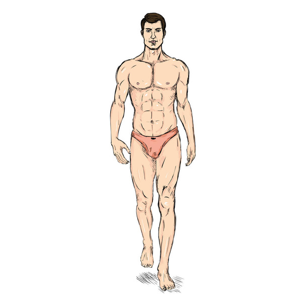 Male Model in Underwear - Vector, Image