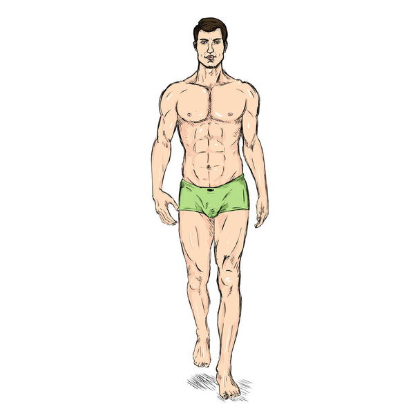 Modèle masculin en sous-vêtements
 - Vecteur, image