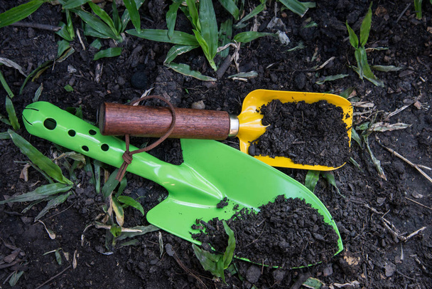Lžíce lopata kopat půdy - Fotografie, Obrázek