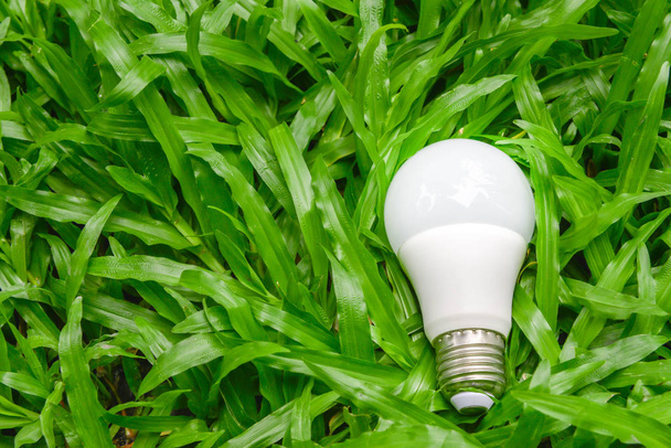 LED žárovka s osvětlením na zelené trávě - Fotografie, Obrázek