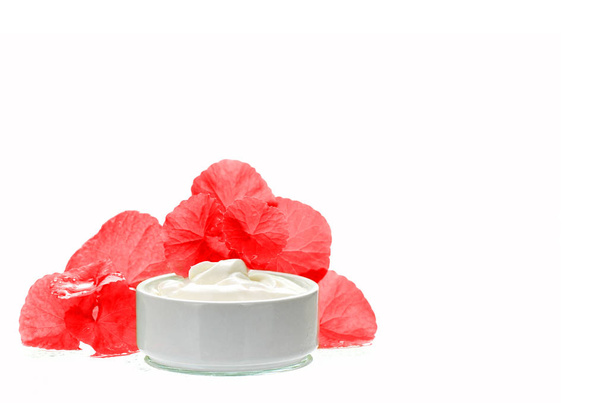 Centella asiatica folhas e produtos de cuidados da pele em tom vermelho e branco
. - Foto, Imagem