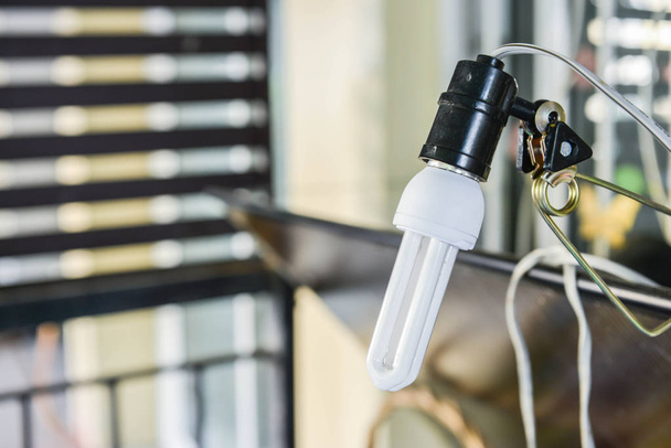 Clamp Lamps and fluorescent bulbs - Fotografie, Obrázek