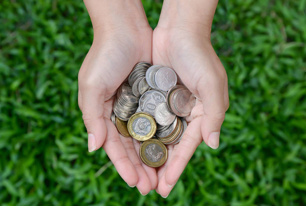 Monedas en mano de mujer con fondo de hierba verde
 - Foto, imagen