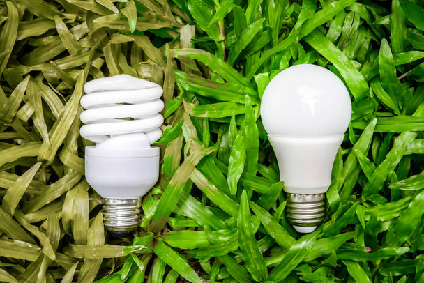 Lâmpada LED e fluorescente comparando na grama verde
 - Foto, Imagem