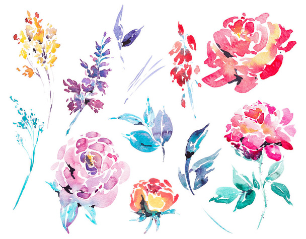 Watercolor floral isolated design elements - Foto, afbeelding