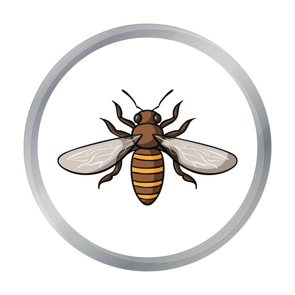 Bienensymbol im Cartoon-Stil isoliert auf weißem Hintergrund. Insekten Symbol Aktienvektor Illustration. - Vektor, Bild