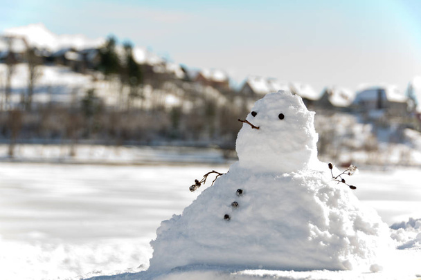 chubby snowman and winter panorama - Photo, Image