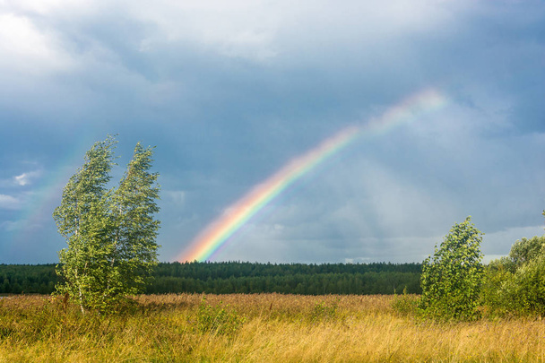 Colorful rainbow against the cloudy sky.  - Φωτογραφία, εικόνα