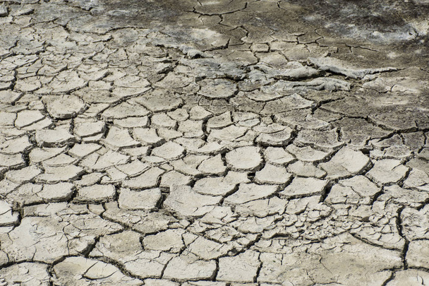 gebarsten droge modder - Foto, afbeelding