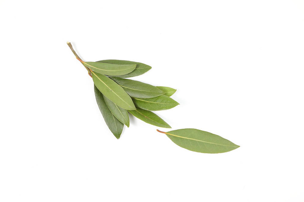 Épice aux feuilles de laurier
 - Photo, image
