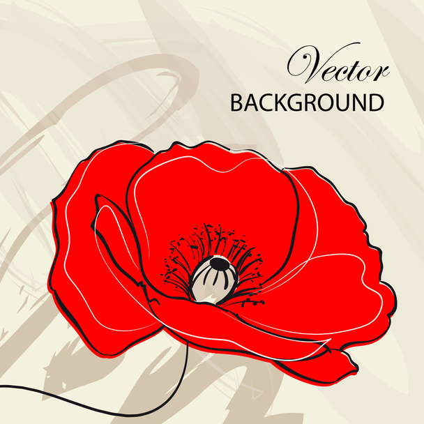 Poppy illustration - Vector, Image