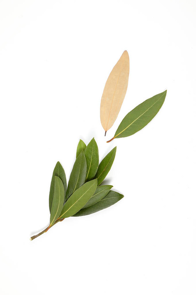 Bay leaf herb spice - Photo, Image