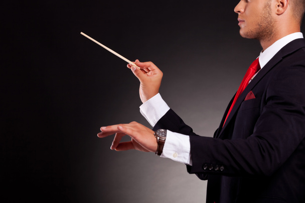 conductor business man - Fotografie, Obrázek