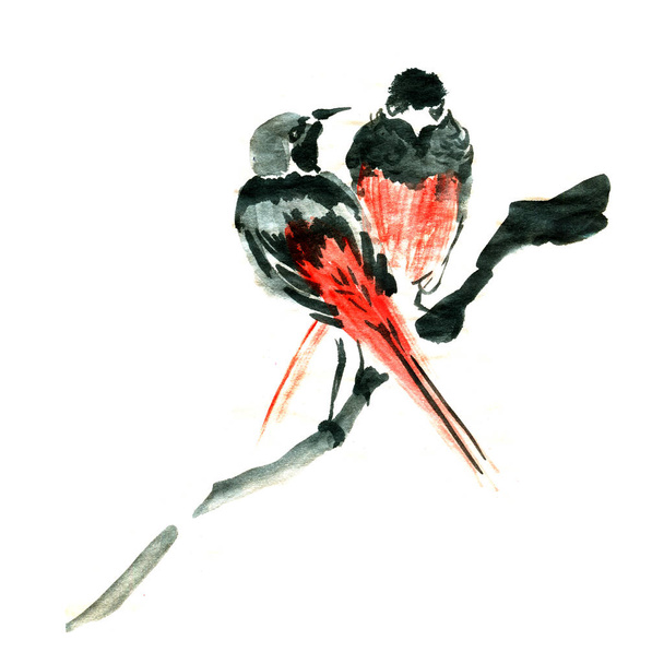 Watercolor illustration of cute birds in love. - Foto, Imagen