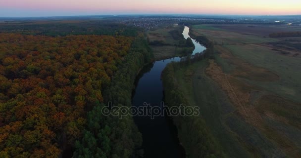 Aerial view the river on green forest plain. - Footage, Video