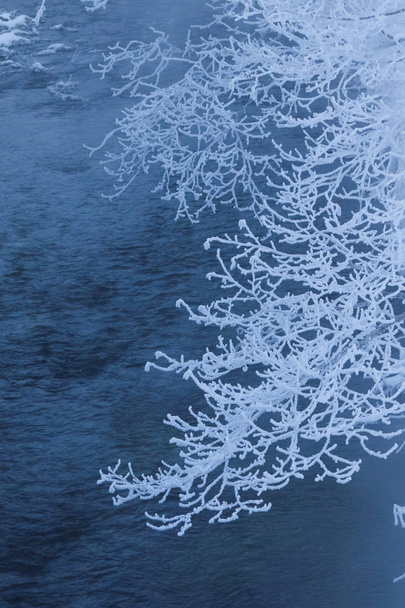 Zimní krajina v hokkaido - Fotografie, Obrázek
