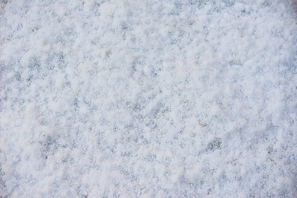 Zimní pozadí a sněhové vločky na pozadí - Fotografie, Obrázek