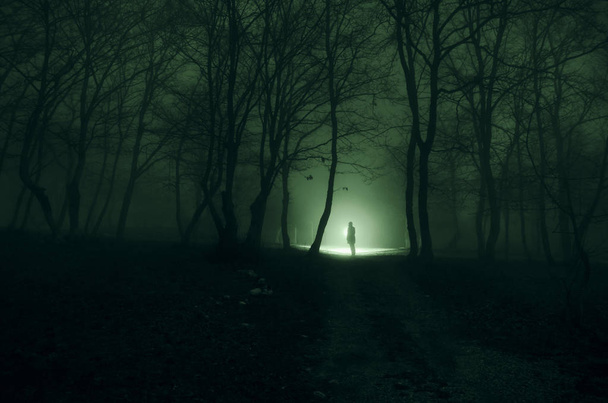 Sama dziewczyna z światło w lesie w nocy, lub niebieski stonowanych  - Zdjęcie, obraz