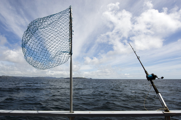 Safari di pesca in Nuova Zelanda
 - Foto, immagini