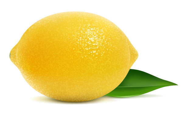 Limone fresco
 - Vettoriali, immagini
