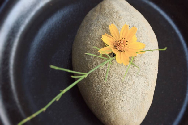 Flores em vaso com pedras
 - Foto, Imagem